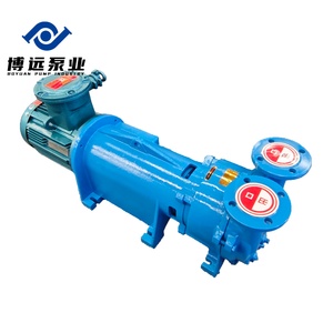 <span class=keywords><strong>Pompe</strong></span> à vide à anneau liquide séparée BOYUAN PUMP série 2BV6, basse pression, en acier inoxydable et fer, pour l'industrie chimique - Product Image 2