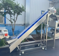 Kleine aardbeienjam productielijn, bessenjam maakmachine, jamkookmachine