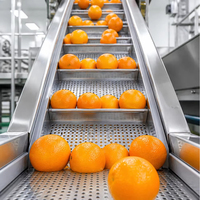 Machine de remplissage de jus de fruits HiLock, équipement de remplissage de jus d'orange, de mangue et d'ananas, machine de mise en bouteille automatique PLC