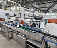 Fruitwas- en sorteerlijn met bubbelspoelmachine, borstelrol, luchtdroger, wasmachine en sorteermachine voor sinaasappels, appels en avocado's.
