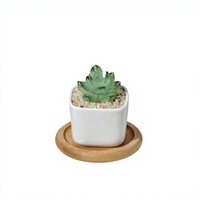 Figurine de plante succulente en verre de Murano soufflé à la main, mignonne, pour cadeau d'inauguration de maison ou décoration de bureau