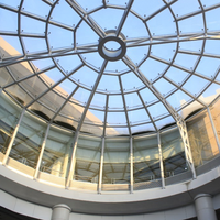 SAFS Promotion : Dôme de toit en structure légère en acier avec services de soudage et de découpe pour halls et centres commerciaux