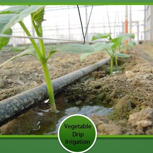 16mm Irrigation <span class=keywords><strong>colonne</strong></span> intérieure émetteur goutte à goutte Pe bande système d'irrigation <span class=keywords><strong>arrosage</strong></span> goutte à goutte ruban tuyau d'<span class=keywords><strong>arrosage</strong></span> tuyau d'<span class=keywords><strong>arrosage</strong></span> - Product Image 3