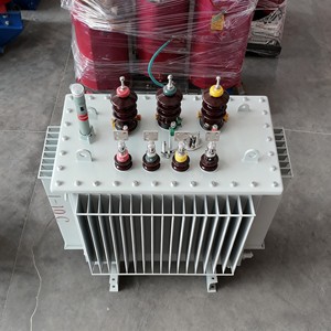लागत प्रभावी ओनान शीतलन तेल विसर्जित वितरण ट्रांसफार्मर, वैश्विक मानक - Product Image 2