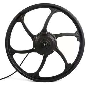 DGWZ 20 pollici 24/36V/48V 350W 500W Brushless mozzo motore elettrico <span class=keywords><strong>bicicletta</strong></span> <span class=keywords><strong>ruota</strong></span> mozzo motore con <span class=keywords><strong>ruota</strong></span> anteriore - Product Image 2