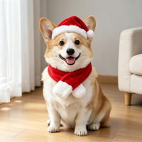 Ensemble de costumes de Noël pour animaux de compagnie, tenue de renne du Père Noël pour chien et chat, cape de Noël pour animaux de compagnie, chapeau, écharpe, bandeau, vêtements de fête pour chiens et chats