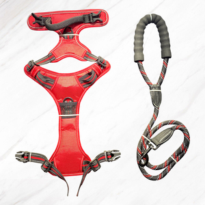 Haustier Halsbänder Leashold Slip Blei Leine Walking Cross body Hunde geschirr Soft Bag PVC-Kragen Spike Chain Halskette Hanf - Product Image 6