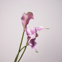 Kunstbloemen 2-stengelige Calla Lelie Bloemstuk voor Huisdecoratie, Fotografie-accessoires en Bruidsboeketten