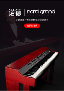 <span class=keywords><strong>Piano</strong></span> digital <span class=keywords><strong>Nord</strong></span> <span class=keywords><strong>Grand</strong></span> de 88 teclas Estructura de acordes de teclas martillo pesado sensación de <span class=keywords><strong>piano</strong></span> de cola - Product Image 6