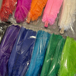 Vente en gros de <span class=keywords><strong>plumes</strong></span> <span class=keywords><strong>d</strong></span>'<span class=keywords><strong>autruche</strong></span> multicolores de 22 à 24 pouces 55 à <span class=keywords><strong>60</strong></span> <span class=keywords><strong>cm</strong></span> pour costumes de carnaval, <span class=keywords><strong>d</strong></span>écoration de fête de mariage, Plumas - Product Image 4