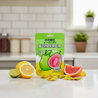 Bonbons en tablette personnalisés sans sucre, saveur menthe fruitée et goyave, emballage portable de haute qualité, usine chinoise