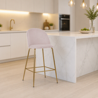 Tabouret de bar moderne et écologique en métal avec structure en acier inoxydable et assise en velours pour restaurant
