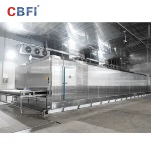 2000kg/h Tunnel Freezer IQF Quick Freezing Machine For Seafood/Shrimp