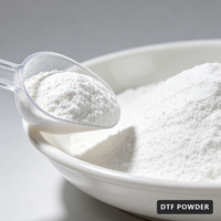 Poudre DTF blanche en polyuréthane TPU écologique, haute élasticité, adhésif thermofusible premium pour transfert thermique sur T-shirt