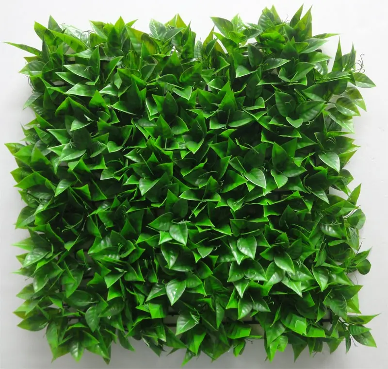 50X50Cm 녹색 벽 조경 나무 인공적인