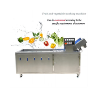 Vbjx 220V 50Hz Druiven Drakenfruit En Wortelgroente Snijden Schil Wasmachine Reiniging Wasstation Lift Machine Lijn