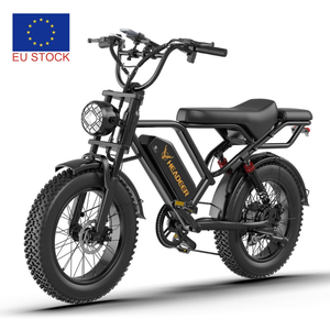 Bicicleta Eléctrica de Montaña HEADEER BK20 48V 20Ah con Neumáticos Gruesos de 20 Pulgadas, Doble Suspensión y Soporte para Aplicación, Disponible en la UE - Product Image 1