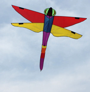 dragonfly shape kites and nice design dragonfly kite