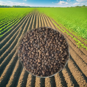 15-5-30 L'<span class=keywords><strong>engrais</strong></span> soluble dans l'eau à haute teneur favorise l'expansion des fruits, augmente le rendement et améliore la qualité - Product Image 3