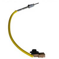 Capteur de température des gaz d'échappement du moteur R&C de haute qualité 8200930751 4420680 pour Renault Mégane III 2.0 DCi 2010-2021