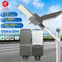 Lampadaire Solaire d'Extérieur Étanche Tout-en-Deux Séparé LED IP65 Haute Luminosité