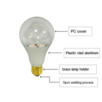 Ampoule LED de croissance de chrysanthème-Importation de Chine, adaptée aux conditions météorologiques extérieures côtières du Japon, améliore la photosynthèse