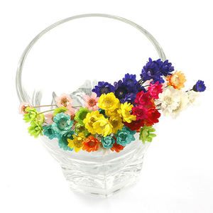 Flores secas decorativas Mini Margarita Ramo de manzanilla 50 tallos Color de otoño Flores secas naturales Margarita de estrella pequeña brasileña - Product Image 3