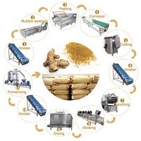 Automatische Zetmeelproductielijn Aardappelgemberwaspeling Snijsnijdende Droogmachine