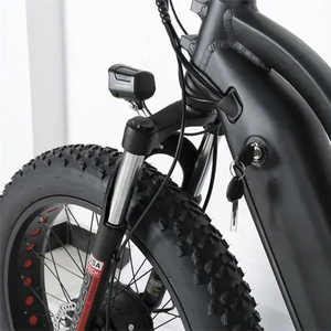 Vélo électrique à trois roues, <span class=keywords><strong>remorque</strong></span> cargaison, prix d'usine, bon marché, livraison avant - Product Image 3