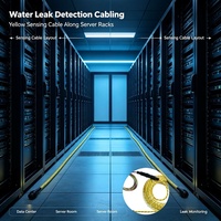 Detector de Fugas de Agua con Comunicación RS485, Sensor de Cuerda, Pantalla LCD, Salida de Relé, DC 10-30V, Controlador de Posicionamiento y Monitor