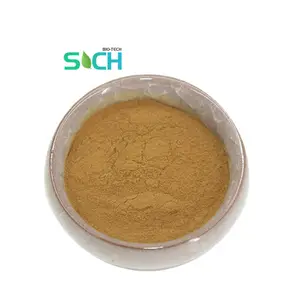 High Quality Supply 100% Natural Witch Hazel Extract Powder Ingredient 10:1 20:1 Witch Hazel Extract