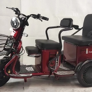 Triciclo Motorizado para Adultos de 800W, Bicicleta Eléctrica de Carga con Carrocería Abierta, Capacidad de Carga de 200-300 kg, Logotipo Personalizado OEM ODM - Product Image 2