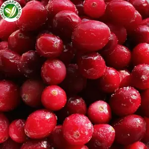 Organik sağlıklı IQF dondurulmuş tatlandırılmamış taze kızılcık kırmızı Lingonberry içecekler için toplu toptan fiyata donma