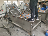 Chine Machine à laver les légumes feuille d'olivier pour fruits dattes fruits Orange mangue fraise Machine de nettoyage