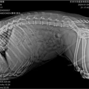 1012/1417/1717 careray Thương hiệu chất lượng cao và chức năng ổn định màn hình phẳng Detector cho x Ray Máy Dr Máy sử dụng