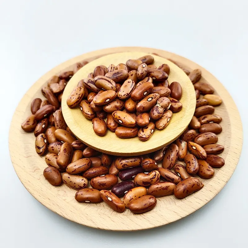 High Quality Health Newest Crop Light speckled kidney bean(Long shape)