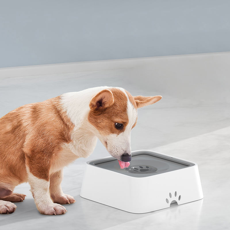 Heavy Anti Splash Water Bowl Best No Tip Anti Spill Cat Water Bowl