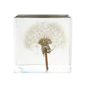 Prensapapeles Cúbico de Resina con Flor de Diente de León en su Interior, Prensapapeles de Resina Personalizado - Product Image 2