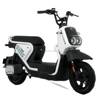 Modèle Kuma ------ Vélos électriques Ebike Moto électrique Batterie au lithium 48V 20ah Ebike Moteur 500w Vélo électrique 20 pouces