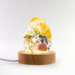 Nhựa Thủ Công Mỹ Nghệ Quà Tặng Giáng Sinh Khô Hoa Mẫu Dẫn Ánh Sáng Ban Đêm Cho Trang Trí Nội Thất Valentine Của Ngày Quà Tặng - Product Image 1