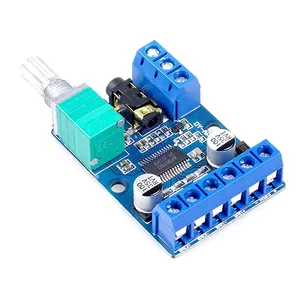 DY-AP3015 DC 8-24V 30W 2 Class D Dual Channel High Power Stereo Digital Amplifier Board with Adjustable Volume Potentiometer