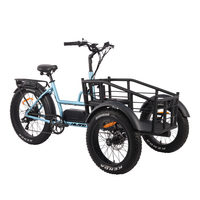 Vélo cargo électrique à trois roues JOYKIE 48V 750W, tricycle électrique avec moteur à moyeu arrière et batterie au lithium