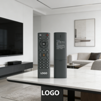 Télécommande vocale universelle de remplacement OEM ODM pour tous les modèles