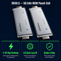 Batterie lithium-ion TPENERGY Soft NMC Pouch Cell 3.7V SK50.5 à décharge rapide pour moto électrique, vélo, EV, assemblage DIY