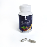 Ginseng Maca Capsules de supplément aux plantes à base de plantes Support des ventes directes d'usine Personnalisation en gros