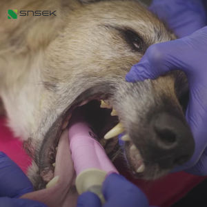 Snsek-CG40 perangkat <span class=keywords><strong>Airway</strong></span> Supra elektrtik tabung traktiran anjing digunakan dalam anestesi hewan resusitasi - Product Image 6