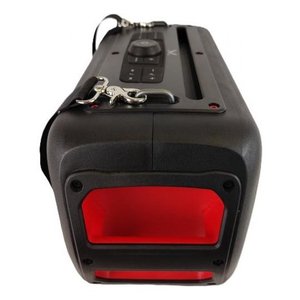 Cassa party <b>FIRE</b> 39 Tws Black 40W 116139 BK - Product Image 5