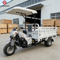 Tricycle agricole motorisé chinois facile à utiliser, robuste, capacité de charge lourde, moteur 300CC refroidi par eau, 2000KG, 70km/h, transport de marchandises