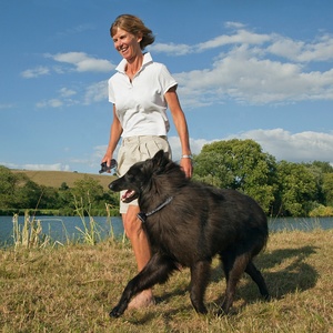 Nueva versión 2000ft impermeable recargable sin choque collar de entrenamiento para perros con control remoto - Product Image 6