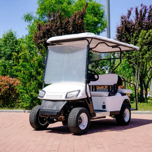 Voiturette de golf électrique WELIFTRICH 3-4 places, batterie lithium 60V, chariot de tourisme et de chasse, roues blanches et noires, toit entièrement étanche - Product Image 1